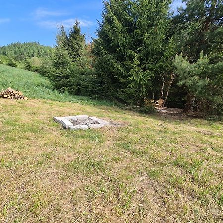 Pod Laskiem Krosnica  Esterno foto