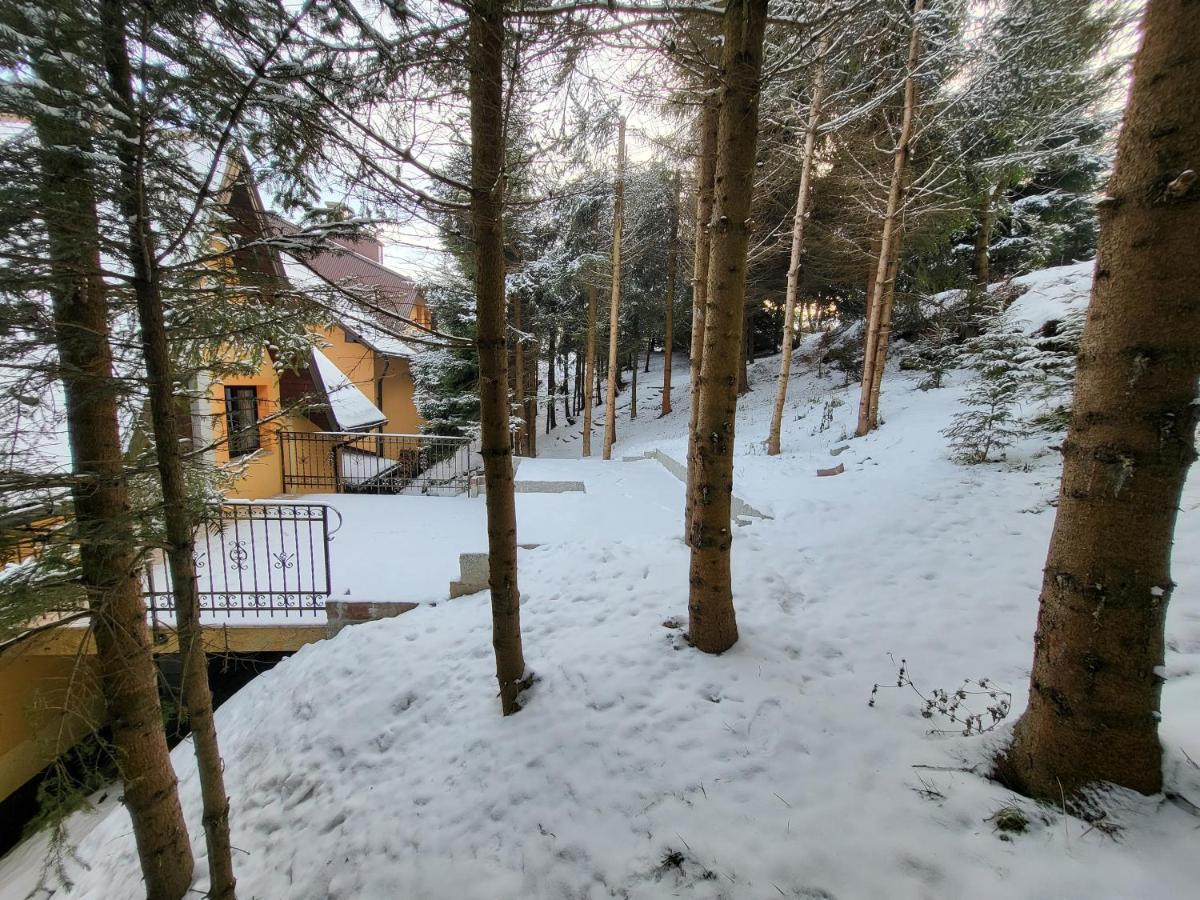Pod Laskiem Krosnica  Esterno foto