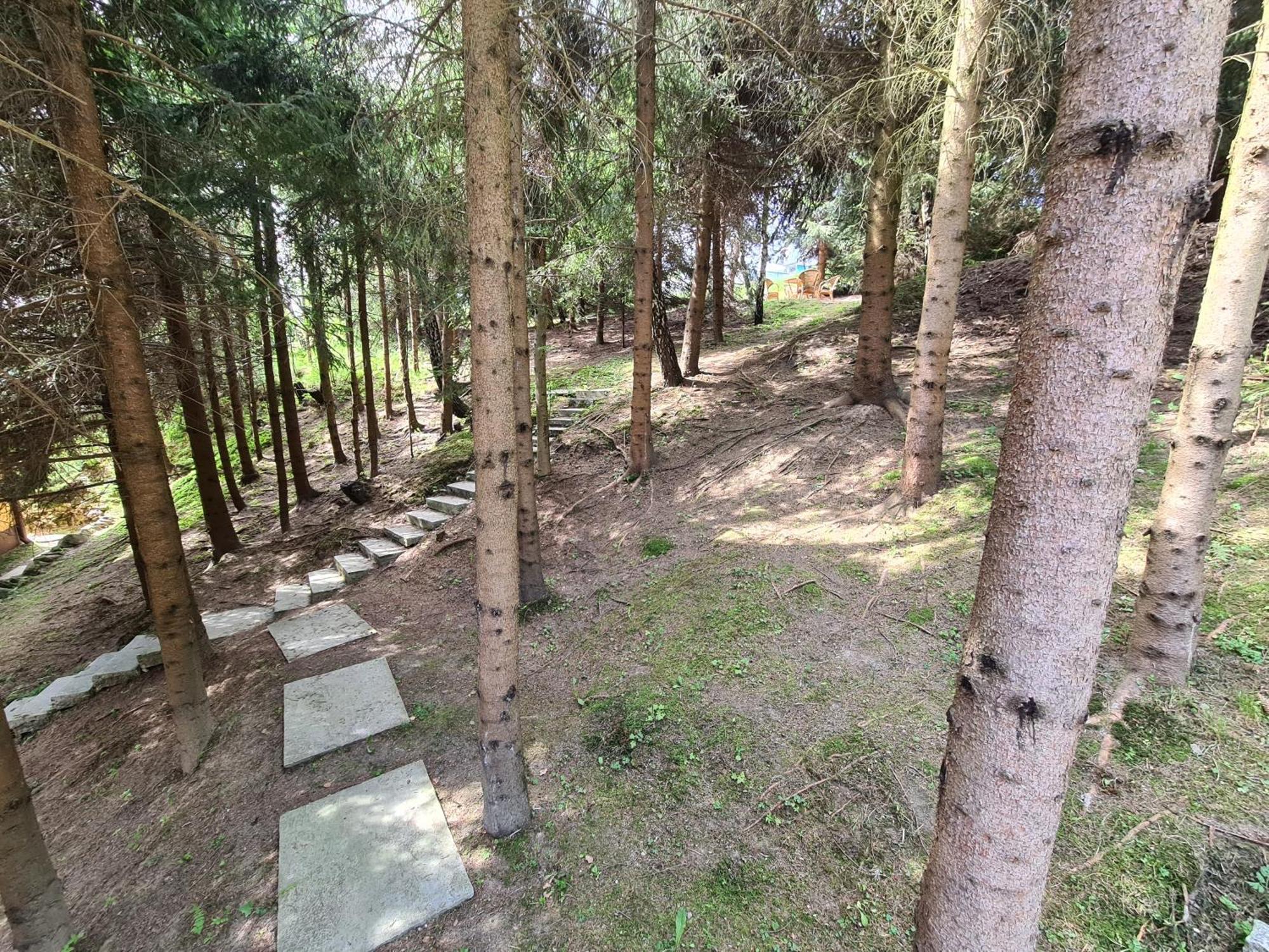 Pod Laskiem Krosnica  Esterno foto